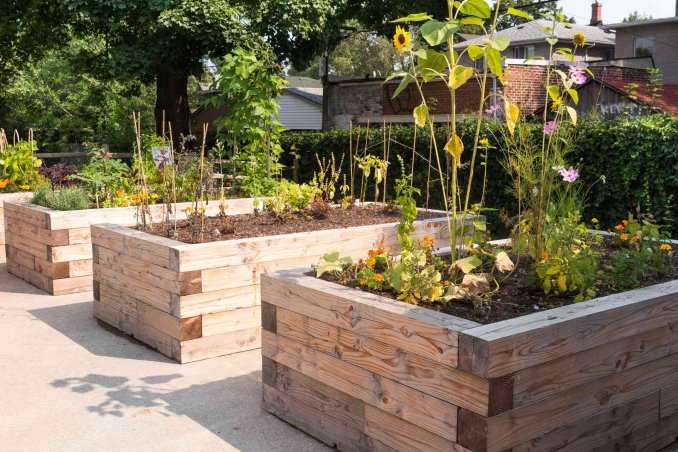 come-organizzare-orto-sinergico