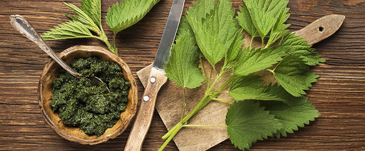 comefare_verdure_ortiche_big