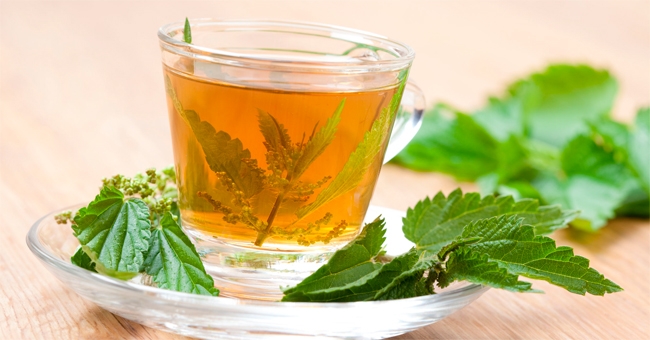 con-l-ortica-ripulisci-circolo-reni-e-vescica