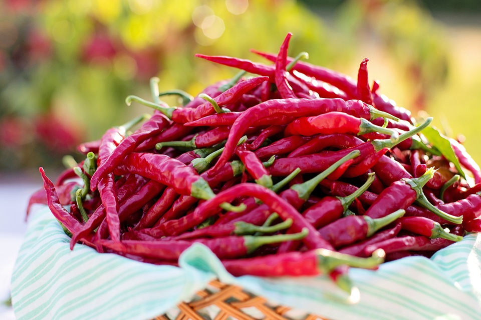 cayenne-peppers-2779830_960_720