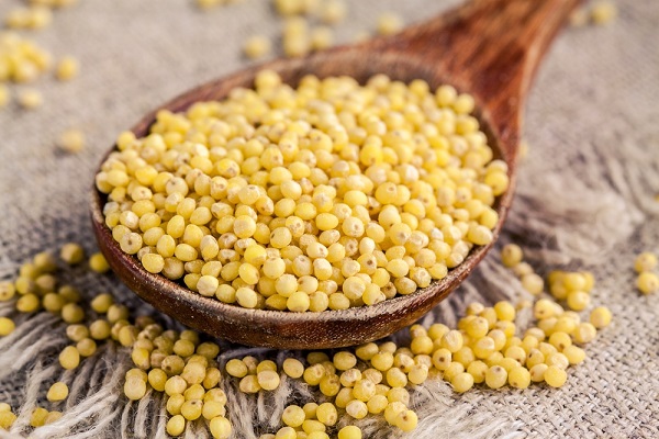 Miglio-fritto-con-Pesto-di-Basilico